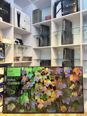 2025 Samsung Qled 65 Inches