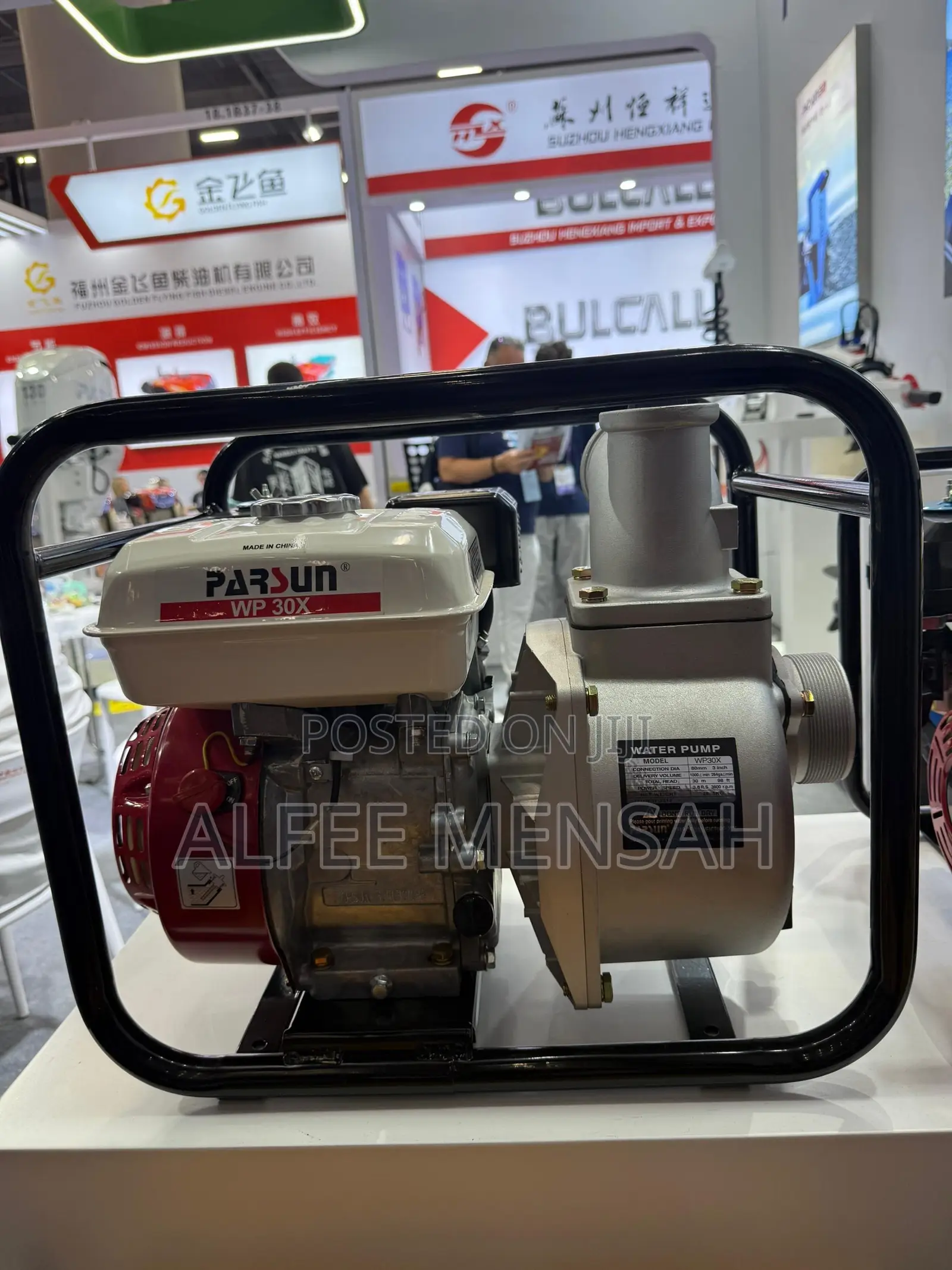 Original Parsun Wp30x Water Pump