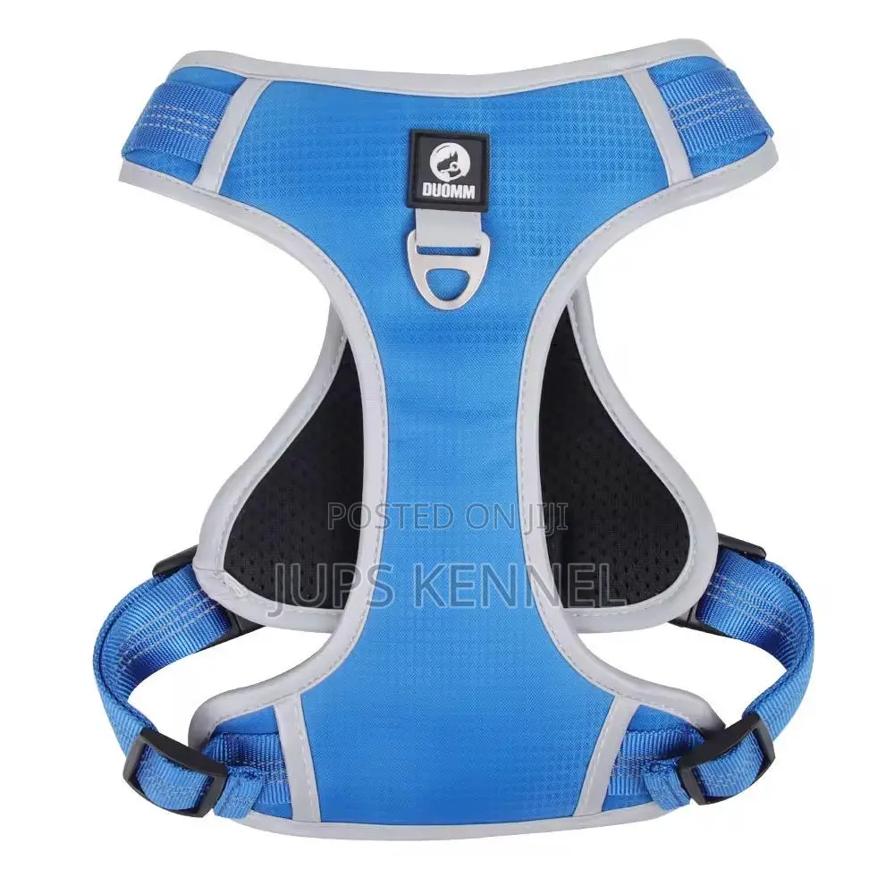 Dog Harness (Collar)
