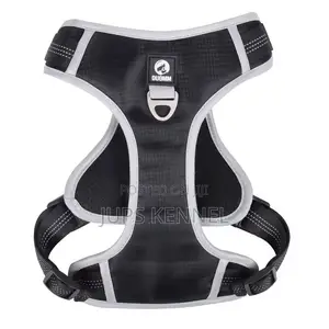 Dog Harness (Collar)