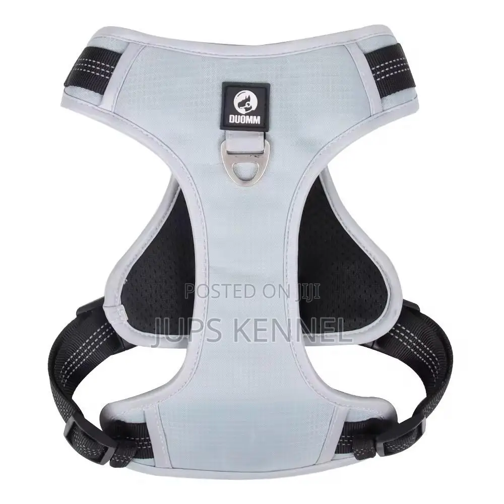 Dog Harness (Collar)