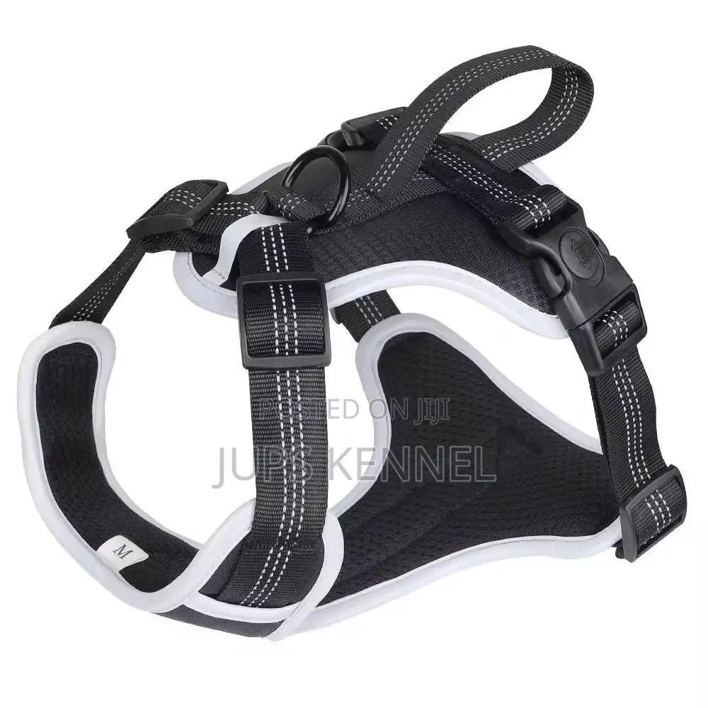 Dog Harness (Collar)