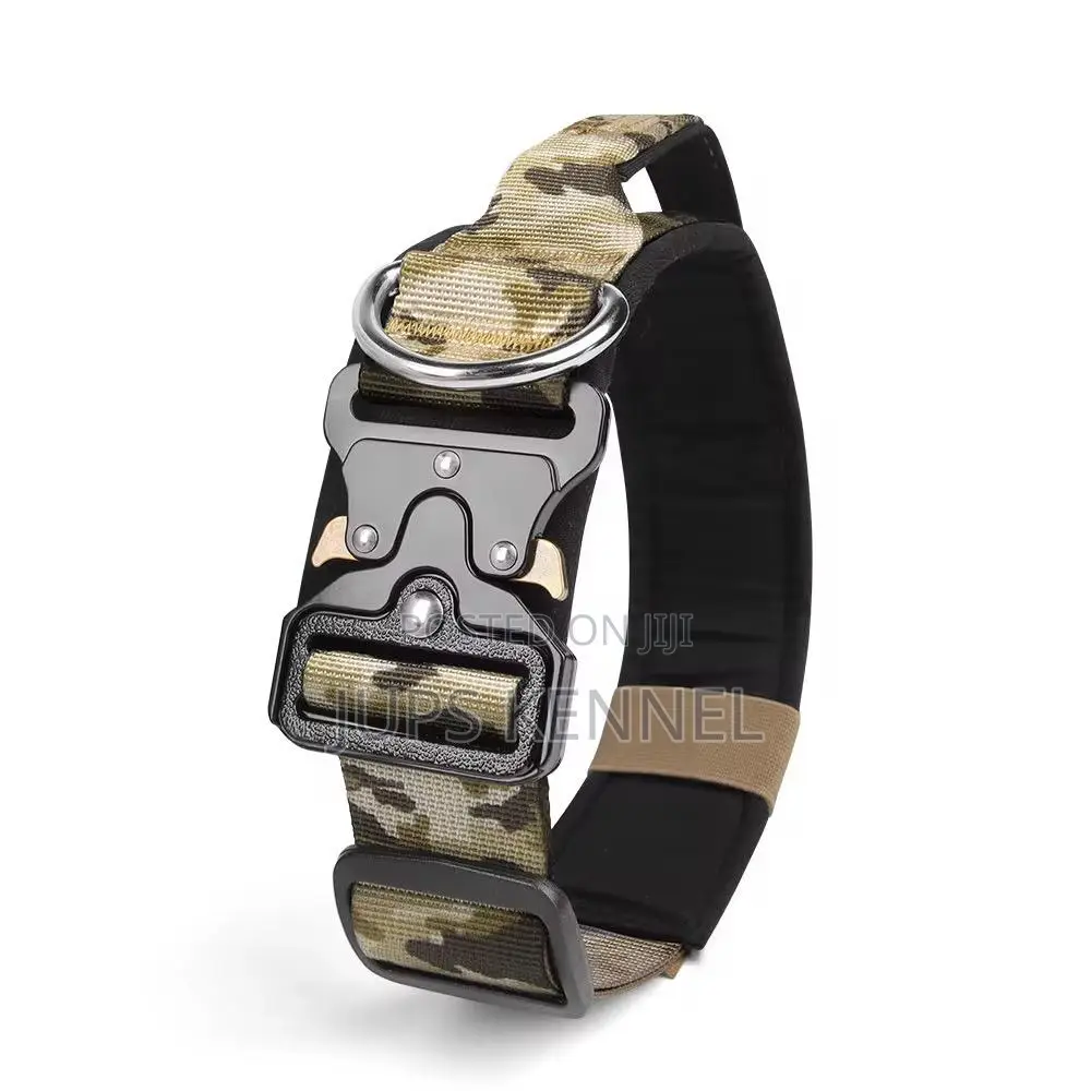 Dog Neck Collar(Belt)