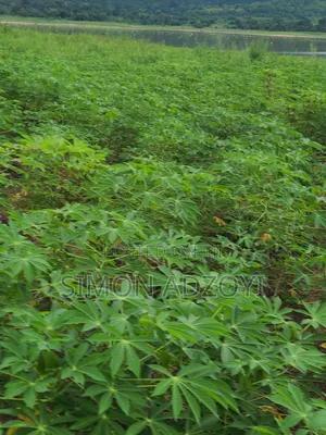 Volta River Front Land for Sale