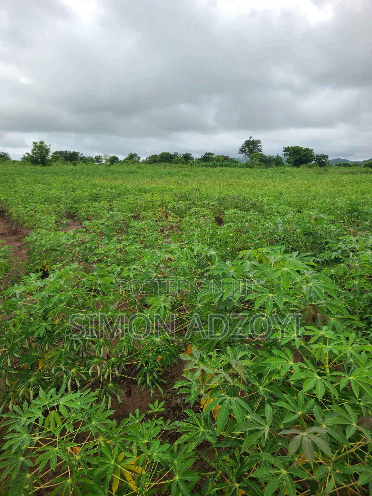 Volta River Front Land for Sale