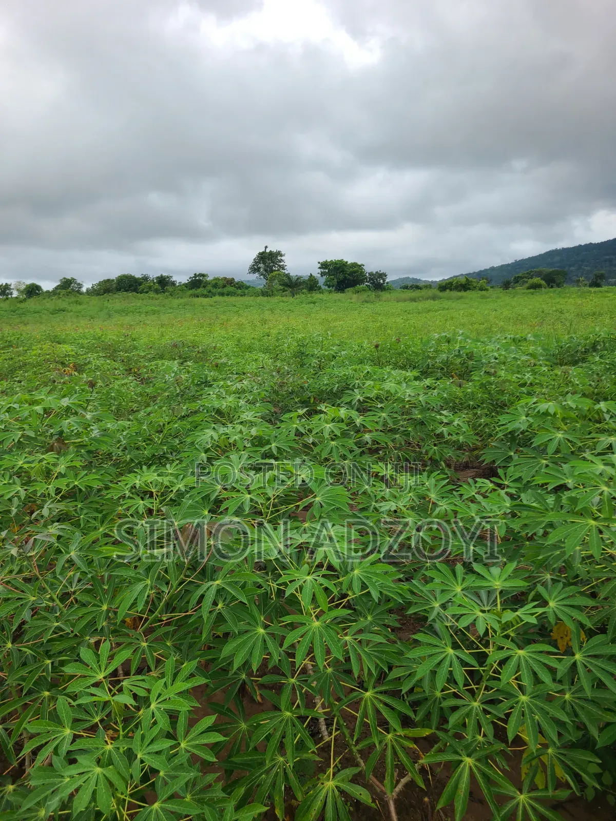 Volta River Front Land for Sale