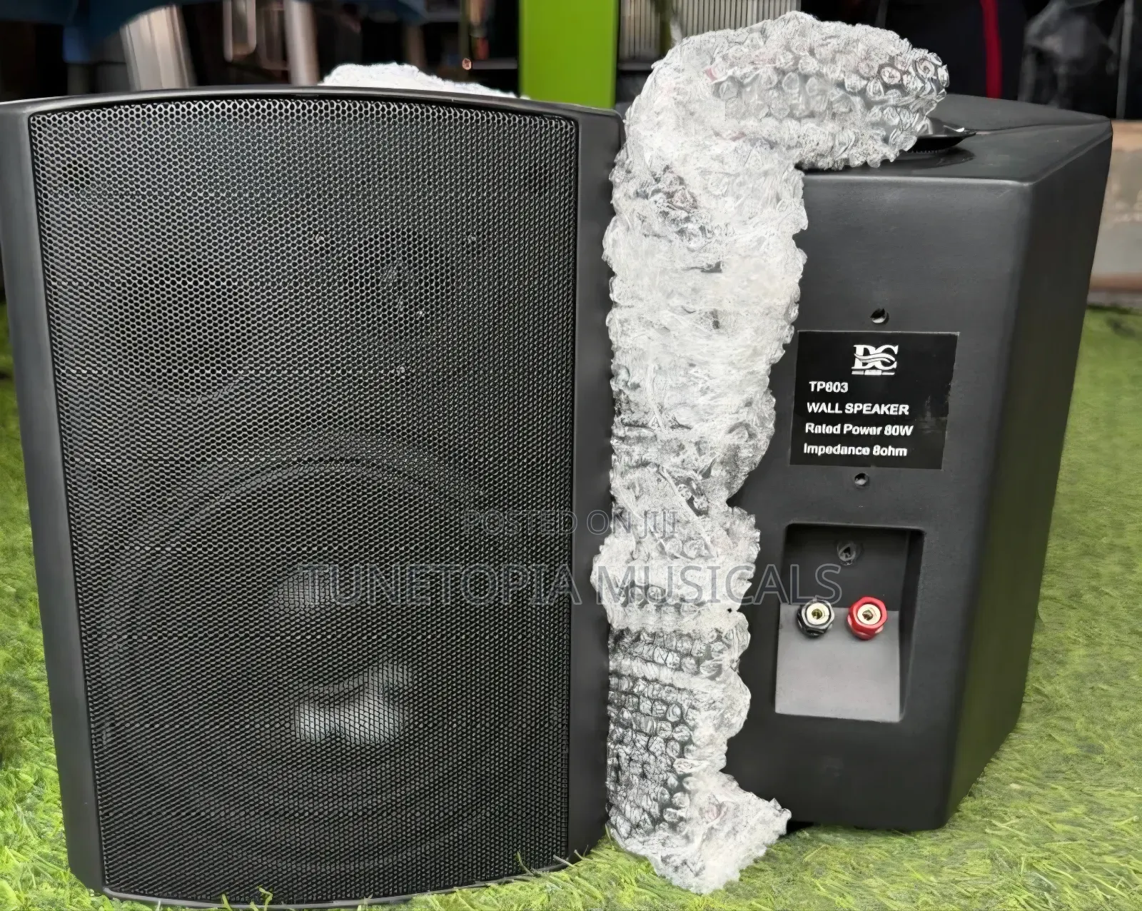 Ds Audio Tp603 Passive Wall Mount Speaker