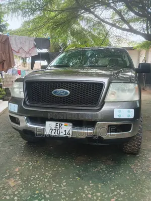 Ford F-150 SuperCrew 4x4 2006 Gray