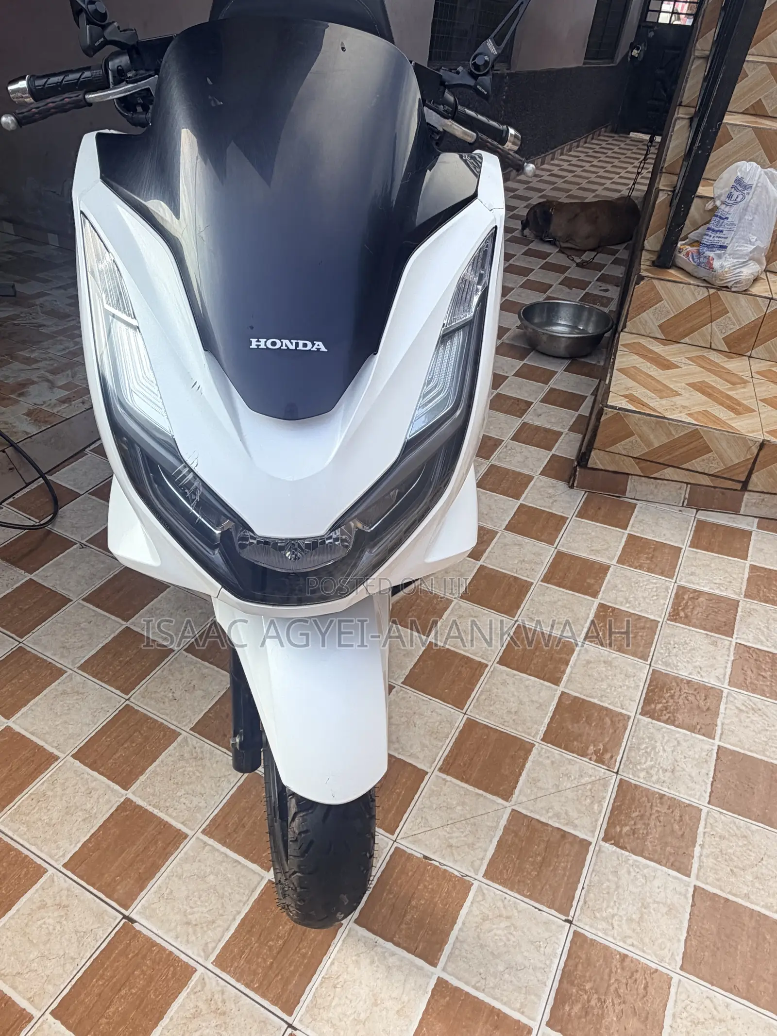 Honda 2022 White