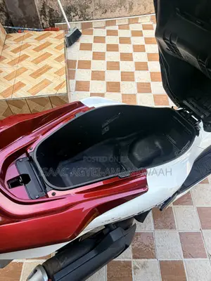 Honda 2022 White