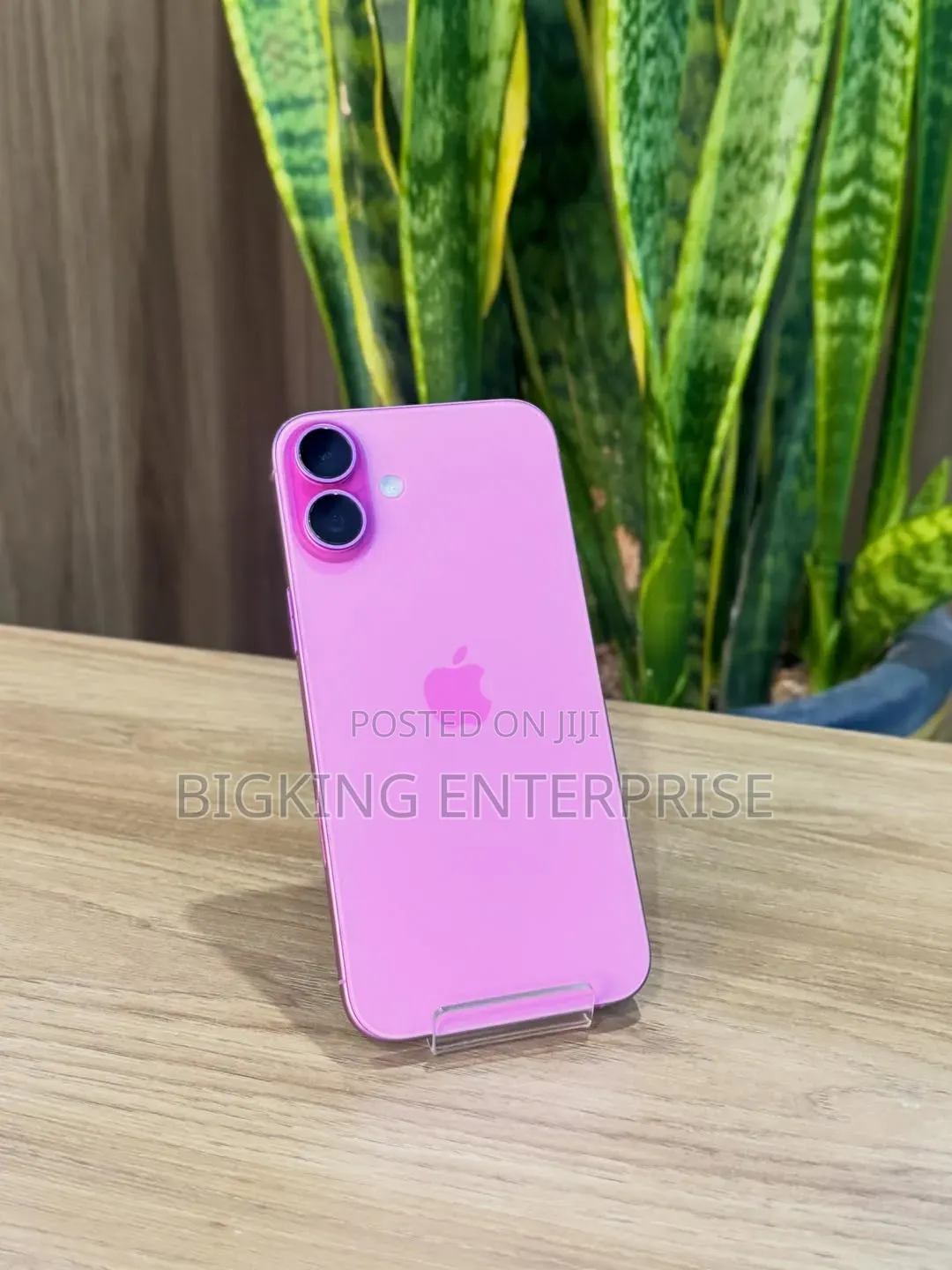 Apple iPhone 16 Plus 256 GB Pink