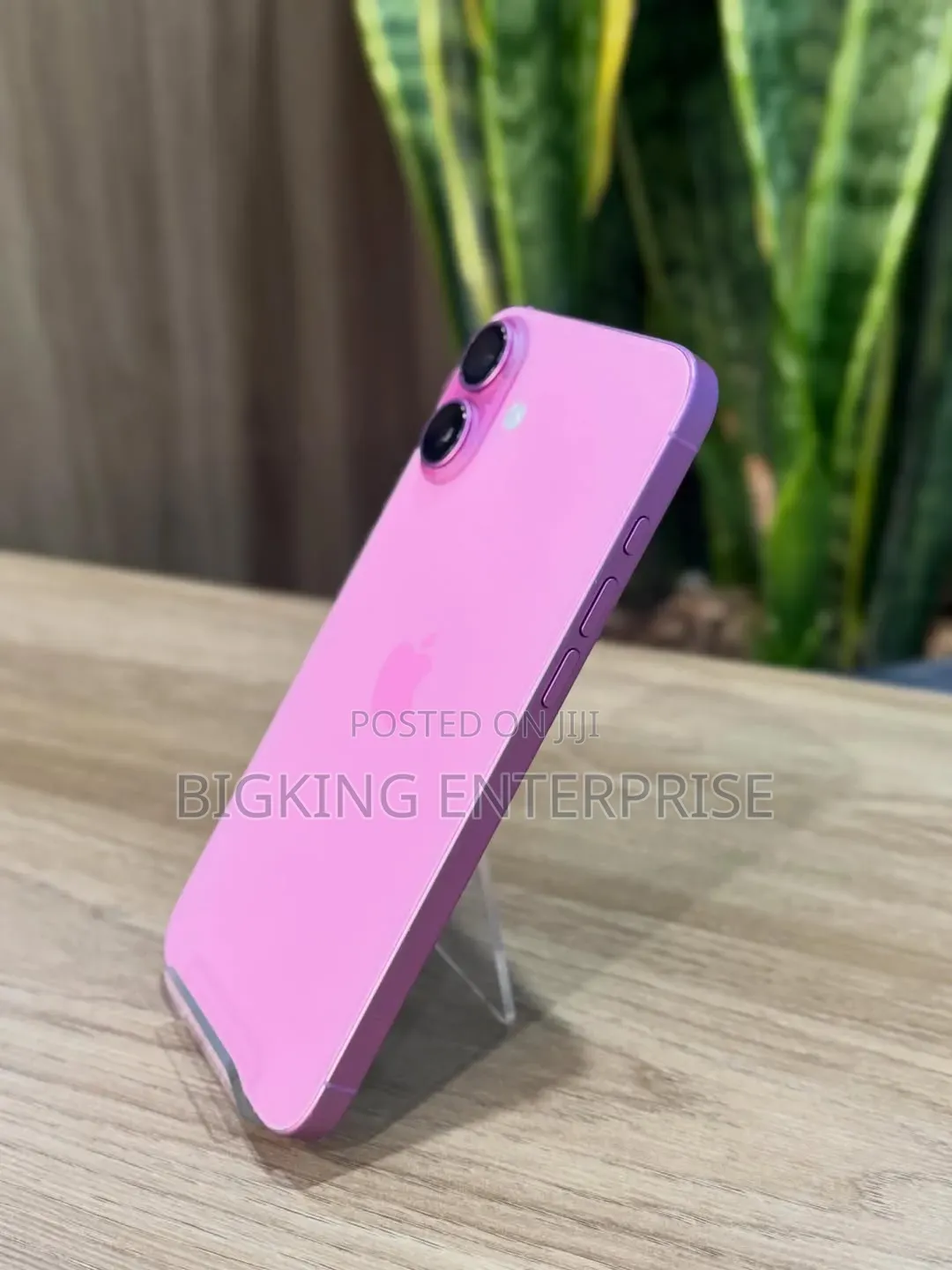 Apple iPhone 16 Plus 256 GB Pink