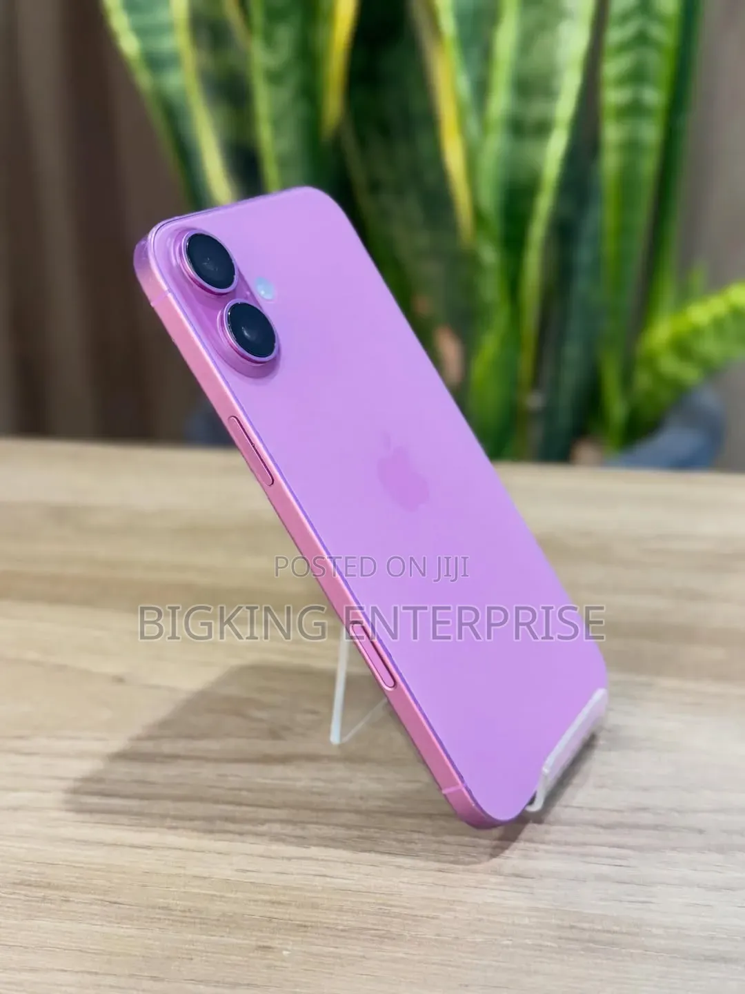 Apple iPhone 16 Plus 256 GB Pink