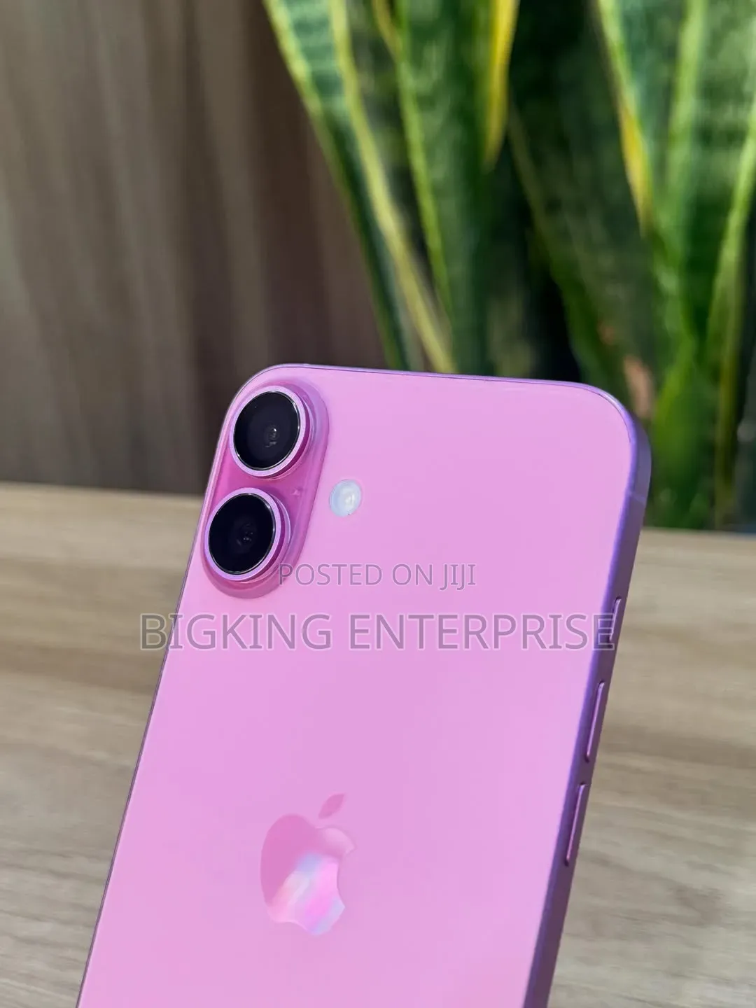 Apple iPhone 16 Plus 256 GB Pink