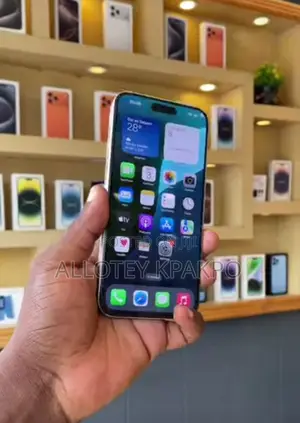 Apple iPhone 15 Pro Max 256 GB Silver