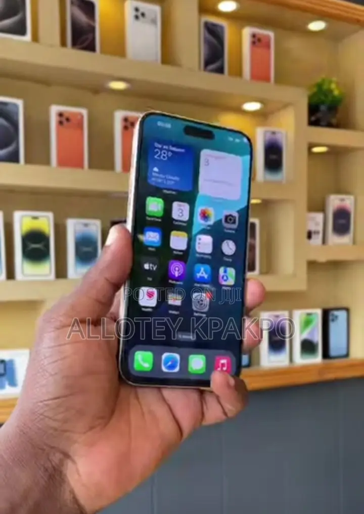 Apple iPhone 15 Pro Max 256 GB Silver