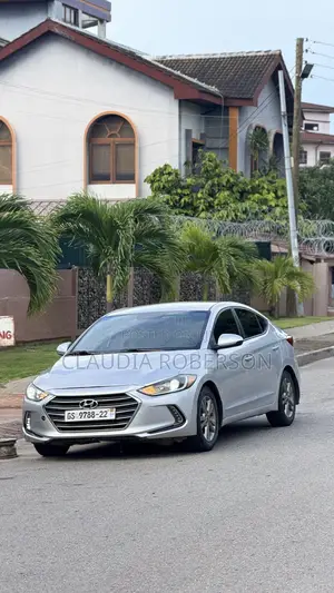 Hyundai Elantra Sport 2018 Silver