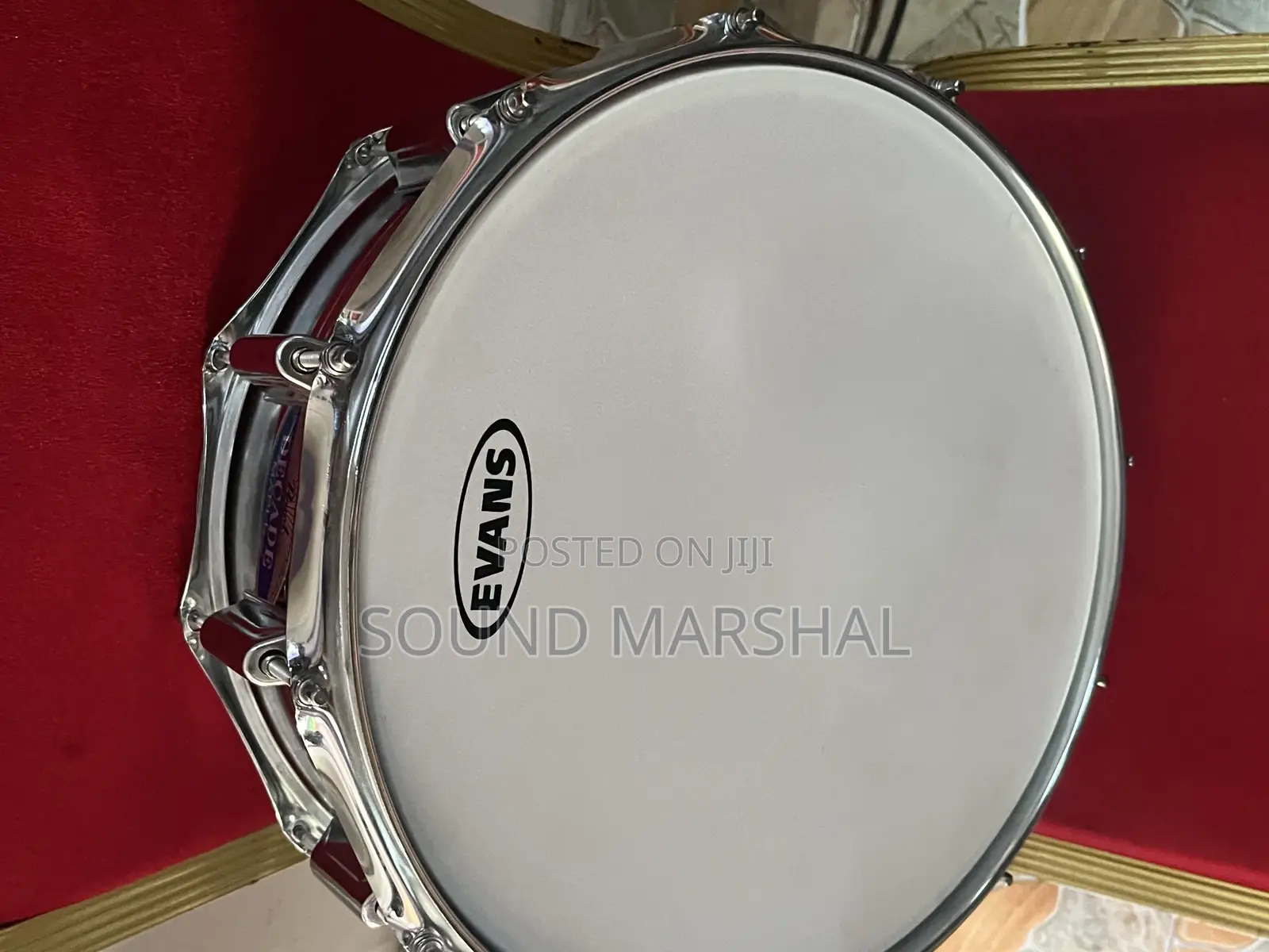 Pearl Decade Maple Snare Drum With Evans Head