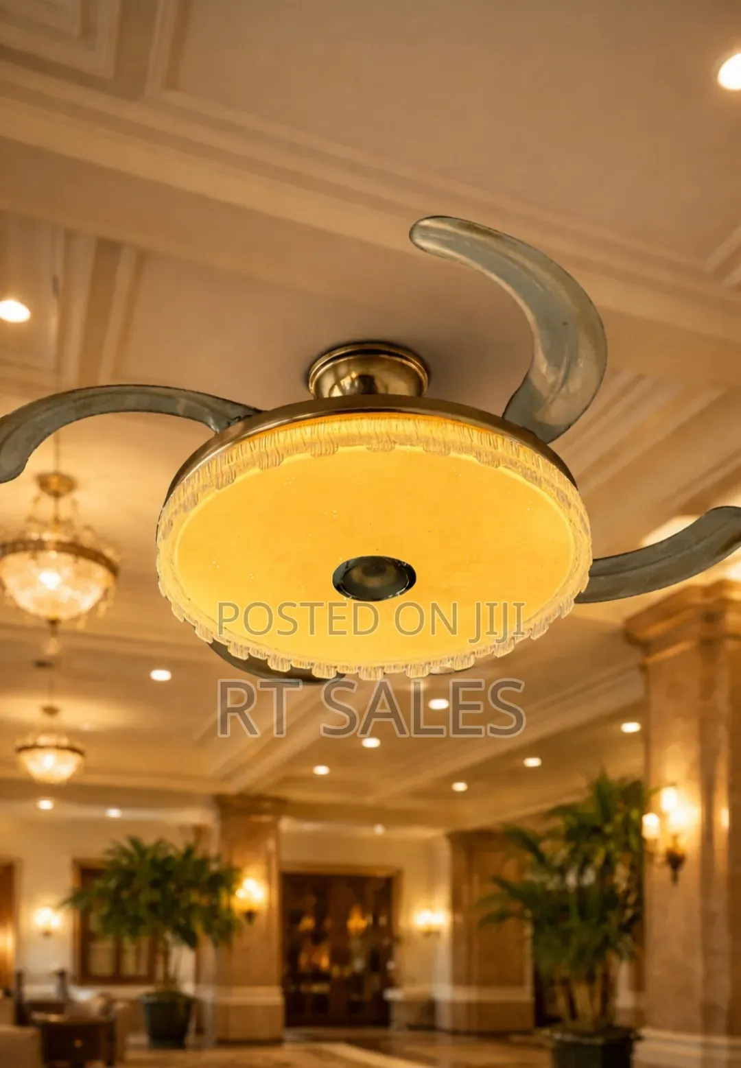 Ceiling Fan With Light.