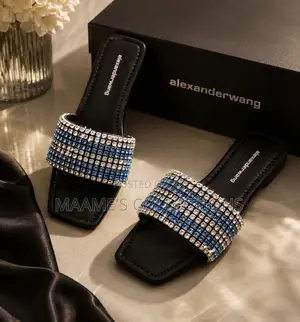 Alexander Wang Anya Women’S Flat Slide / Slippers