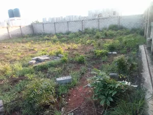It's a Titled Property, 4 Plots or One Acre Titled Land With 4 Apart