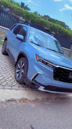 Honda Pilot Touring AWD 2024 Blue
