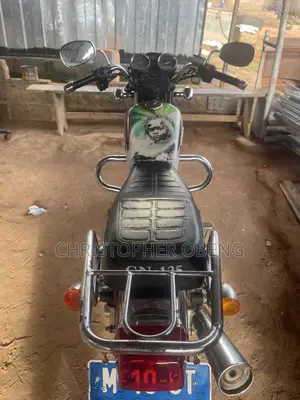 Royal RY125 2019 Brown