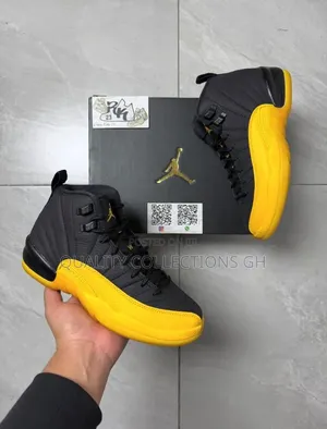 Jordan 12 Retro Sneakers in Colours