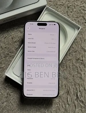Apple iPhone 15 Pro Max 256 GB Silver