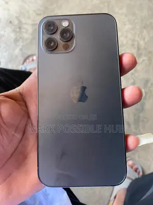 Apple iPhone 12 Pro 256 GB Gray