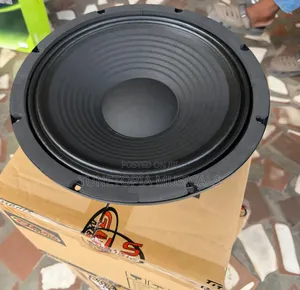 GLS Music 12-Inch 600-Watt Naked Professional Loudspeaker