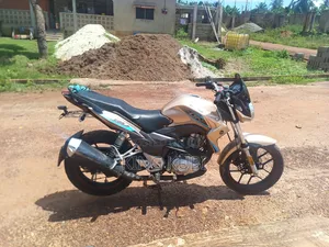 Apsonic 170 Zone One 2024 Gold