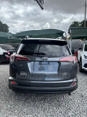 Toyota RAV4 LE AWD 2019 Gray