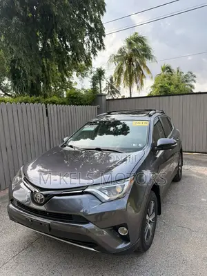Toyota RAV4 XLE 4dr SUV AWD (2.5L 4cyl 6A) 2018 Gray