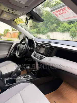 Toyota RAV4 XLE 4dr SUV AWD (2.5L 4cyl 6A) 2018 Gray