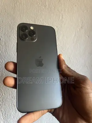 Apple iPhone 12 Pro 256 GB Gray
