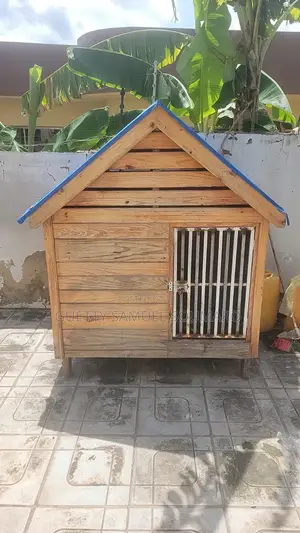 Dogs House