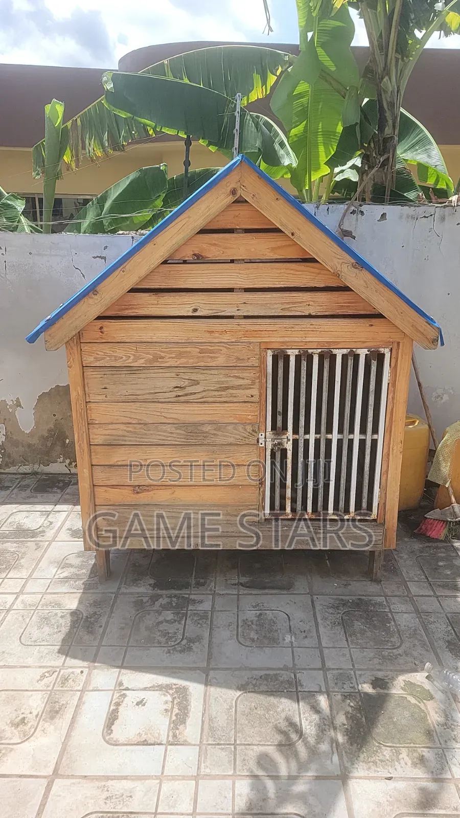 Dogs House
