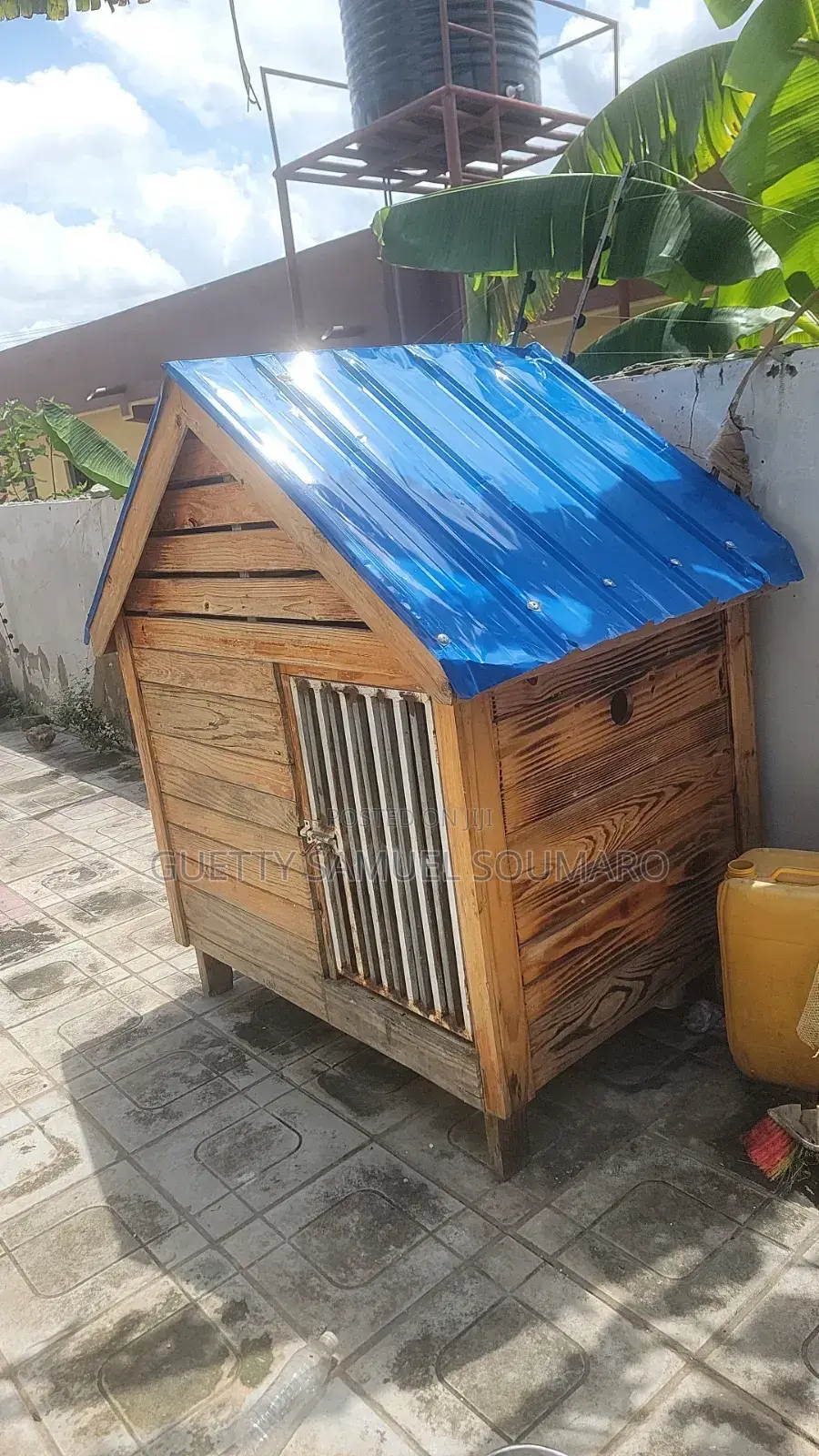 Dogs House