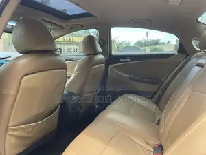 Hyundai Sonata 2010 Blue