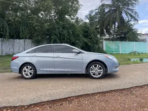 Hyundai Sonata 2010 Blue