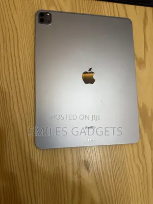 Apple iPad Pro (2022) 1 TB Gray
