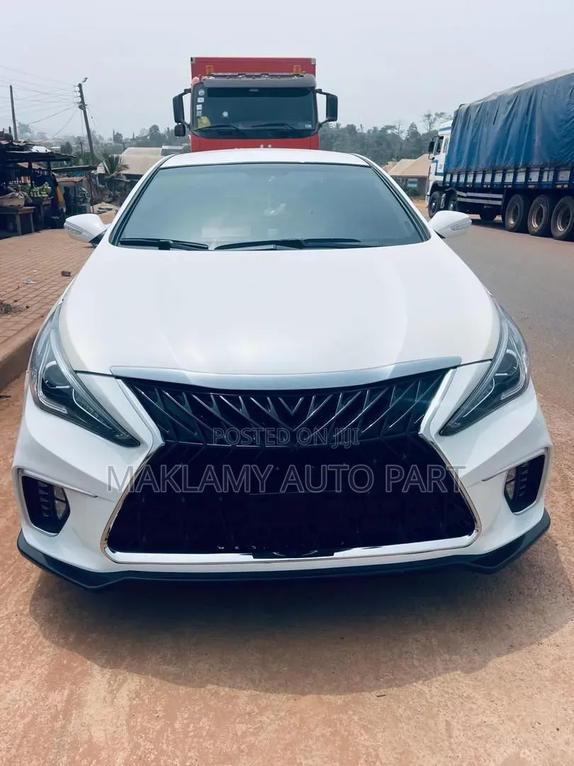 Sonata 11 Body Kit