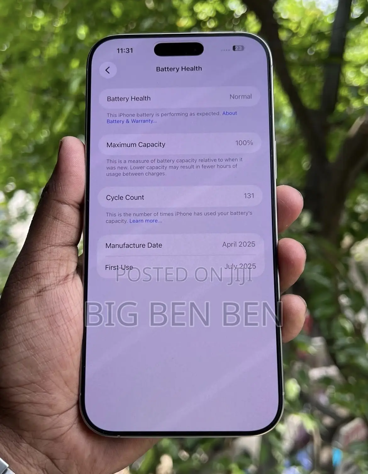 Apple iPhone 16 Pro Max 256 GB Silver