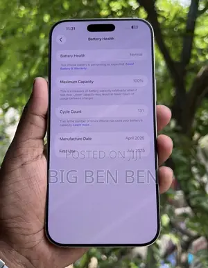 Apple iPhone 16 Pro Max 256 GB Silver