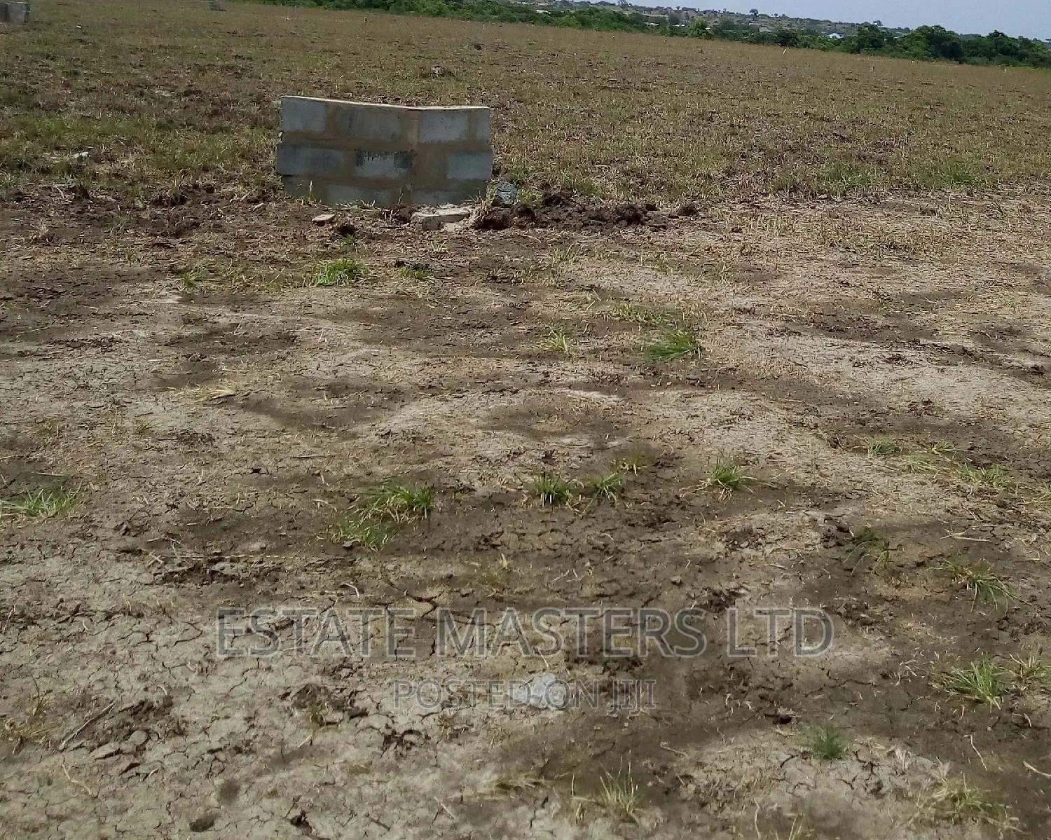 Acres of Flat Area Land