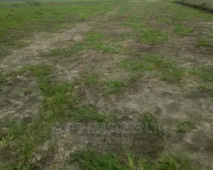 Acres of Flat Area Land