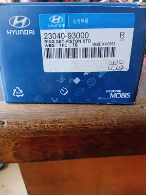 Original Piston Rings for Mitsubishi (6d16) Engines