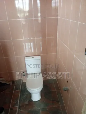 Plumbing Works