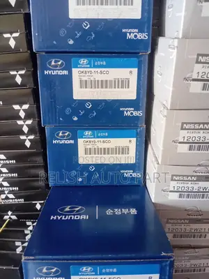 Original Pistons for Kia Rhino 1